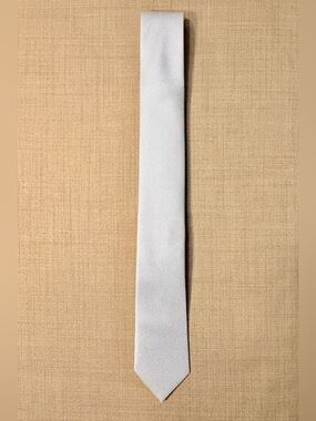 Express Men's Slim Tie in Pastel Blue